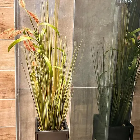 Luna-apartman 23 * Златибор