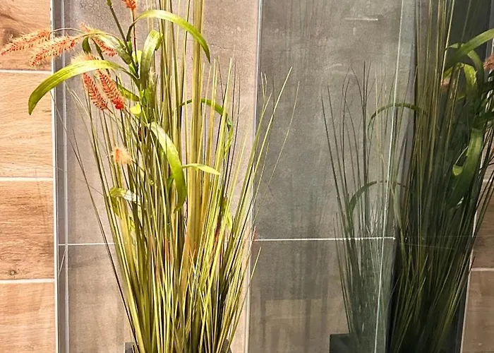 Luna-apartman 23 * Златибор